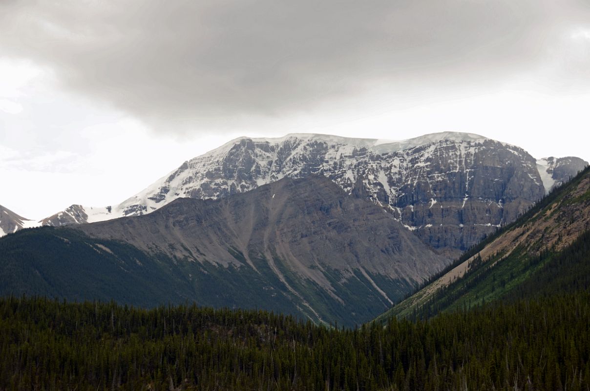 04 Mount Kitchener From Just Beyond Columbia Icefield On Icefields Parkway